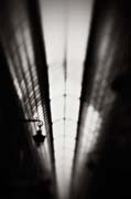 france_copyright_2008_luca_lacche_010