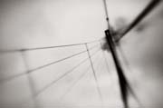 france_copyright_2008_luca_lacche_027