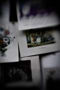 france_copyright_2008_luca_lacche_029