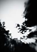 france_copyright_2008_luca_lacche_039