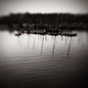 france_copyright_2008_luca_lacche_044