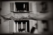 france_copyright_2008_luca_lacche_047