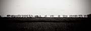 france_copyright_2008_luca_lacche_069