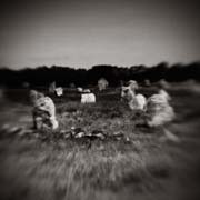 france_copyright_2008_luca_lacche_070