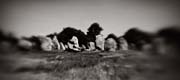 france_copyright_2008_luca_lacche_072