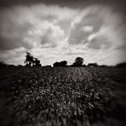 france_copyright_2008_luca_lacche_074