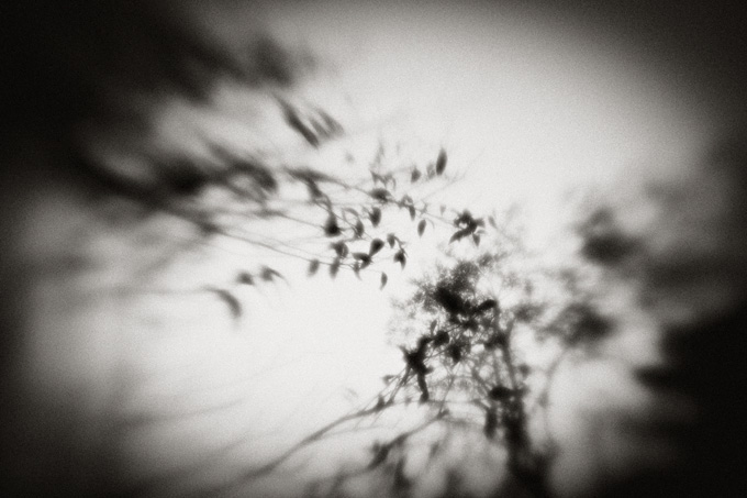 2010_works_copyright_2010_luca_lacche_012