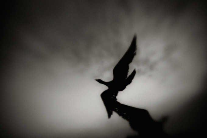 2010_works_copyright_2010_luca_lacche_014