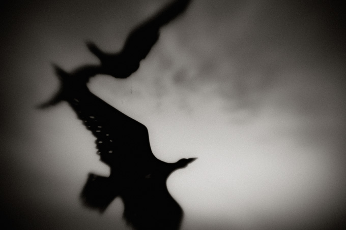 2010_works_copyright_2010_luca_lacche_016