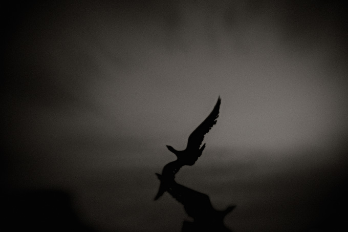 2010_works_copyright_2010_luca_lacche_018
