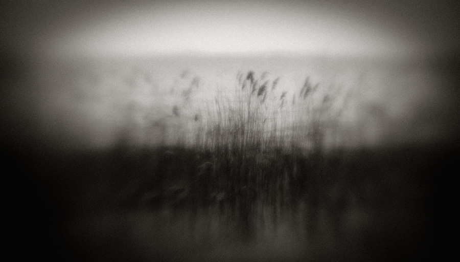 2010_works_copyright_2010_luca_lacche_028
