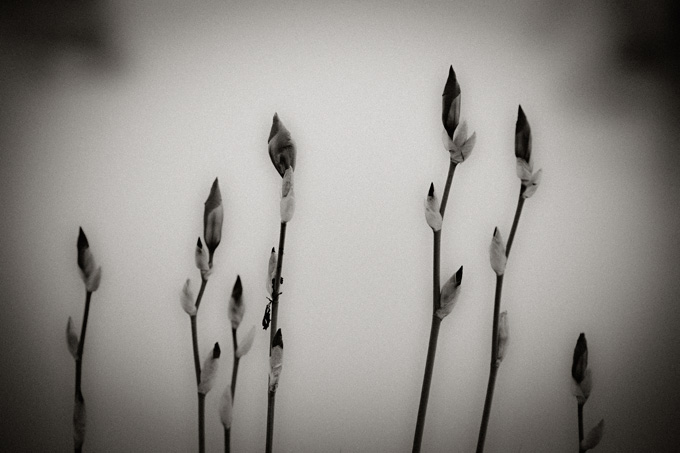 2010_works_copyright_2010_luca_lacche_035