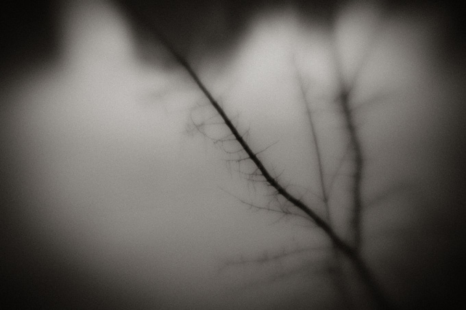 2010_works_copyright_2010_luca_lacche_037