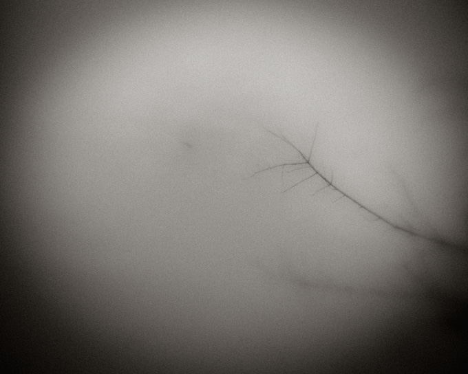2010_works_copyright_2010_luca_lacche_038