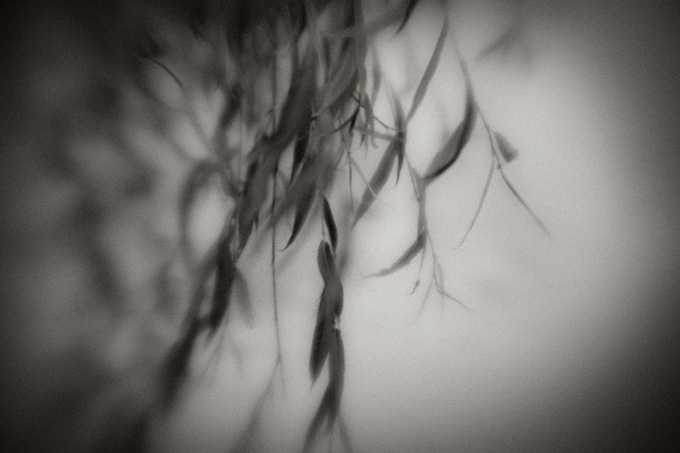 2010_works_copyright_2010_luca_lacche_040