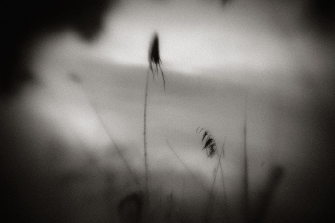 2010_works_copyright_2010_luca_lacche_043