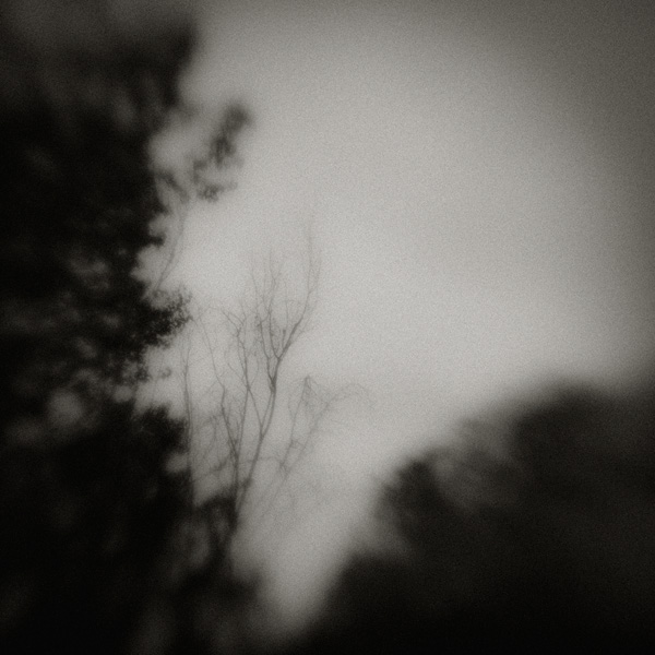 2010_works_copyright_2010_luca_lacche_046