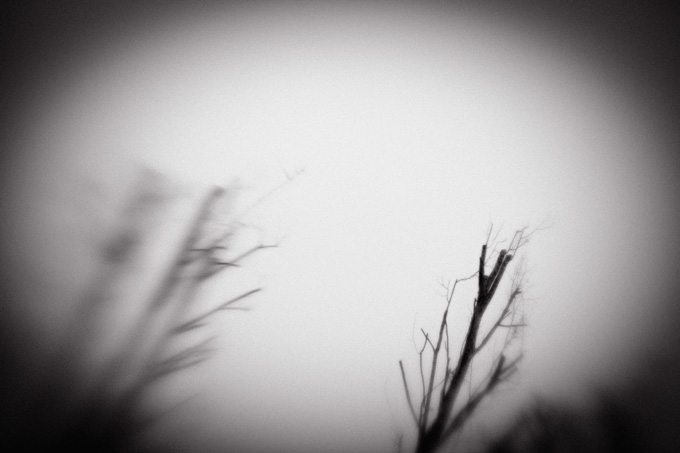 2010_works_copyright_2010_luca_lacche_051