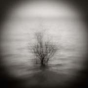 2010_works_copyright_2010_luca_lacche_003