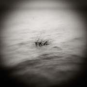 2010_works_copyright_2010_luca_lacche_004
