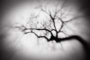 2010_works_copyright_2010_luca_lacche_008