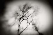 2010_works_copyright_2010_luca_lacche_009