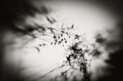 2010_works_copyright_2010_luca_lacche_012
