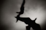 2010_works_copyright_2010_luca_lacche_015