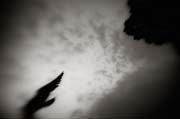 2010_works_copyright_2010_luca_lacche_017