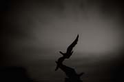 2010_works_copyright_2010_luca_lacche_018