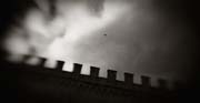 2010_works_copyright_2010_luca_lacche_022