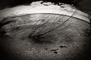 2010_works_copyright_2010_luca_lacche_027