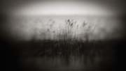 2010_works_copyright_2010_luca_lacche_028