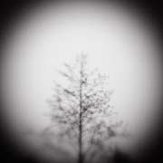 2010_works_copyright_2010_luca_lacche_034