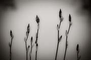 2010_works_copyright_2010_luca_lacche_035