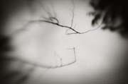 2010_works_copyright_2010_luca_lacche_036