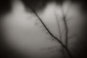 2010_works_copyright_2010_luca_lacche_037