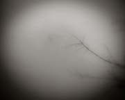2010_works_copyright_2010_luca_lacche_038