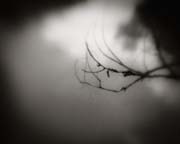 2010_works_copyright_2010_luca_lacche_039