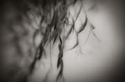 2010_works_copyright_2010_luca_lacche_040