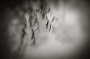 2010_works_copyright_2010_luca_lacche_041