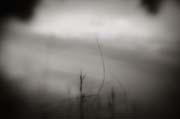 2010_works_copyright_2010_luca_lacche_042