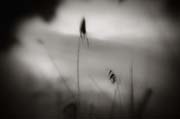 2010_works_copyright_2010_luca_lacche_043