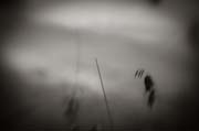 2010_works_copyright_2010_luca_lacche_044