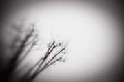 2010_works_copyright_2010_luca_lacche_048
