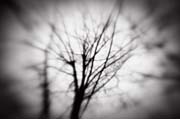 2010_works_copyright_2010_luca_lacche_049