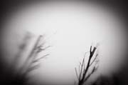 2010_works_copyright_2010_luca_lacche_051