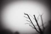 2010_works_copyright_2010_luca_lacche_052