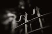 2010_works_copyright_2010_luca_lacche_069