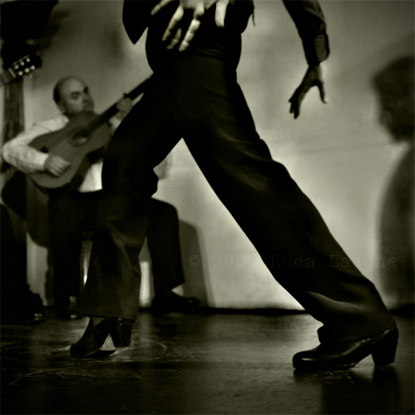 el_baile_copyright_2007_2008_luca_lacche